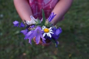 Girl holding purple white flowere in hands
