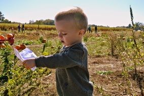 baby on a sunny field on a farm