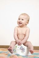 little happy boy is sitting on the potty