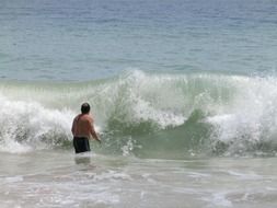 waveand man swimmer