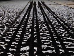 Shadow of friends on the sand at night.