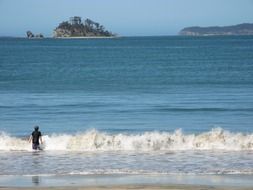 ocean beach surf island