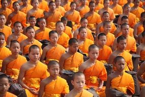 thailand meditation buddhists monks and novices orange color clothes