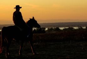 Silhouette of the cowboy on horse at sunset