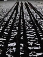 Shadows of people at dusk on the beach