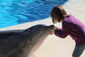 girl and dolphin