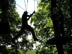 climbing on a trees