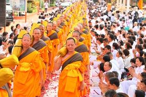 buddhists monks in orange robes