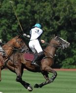 polo player