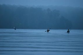 Rowing in the blue water in the summer