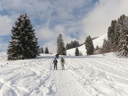 people in a winter hike