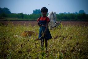 little girl mows grass on the landscape