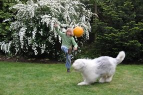 boy playing football with a dog