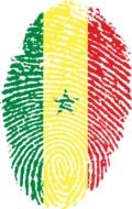 fingerprint painted in the colors of the flag of Senegal