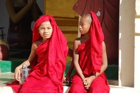 young buddhist monks