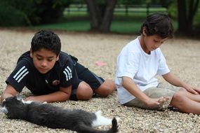 boys playing with cat