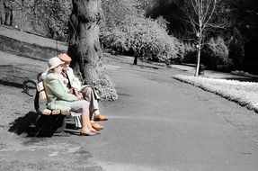 elderly couple on a park bench