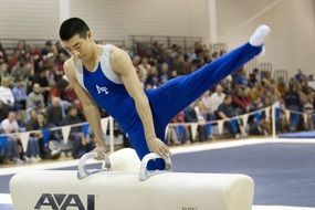 gymnastics on pommel horse