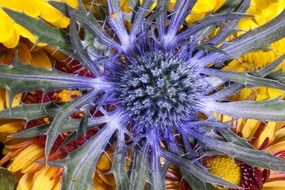purple flower inside