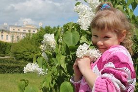 little caucasian girl at lilac bush