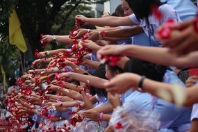 people throwing rose petals, thailand, bangkok