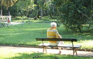 view from the back of an old man sitting on a bench