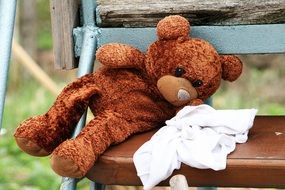 picture of the teddy bear toy is on a bench