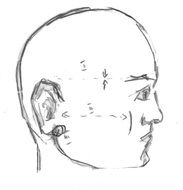 head profile drawing