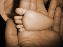 baby child feet