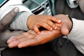 baby hand bounded in father's hand, the combined hands of family members