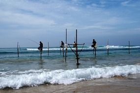 fishermen catch fish on the coast
