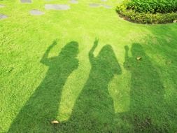 Shadows of the girls on the grass