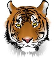 computer image of the face of the tiger