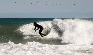 surfer on the board