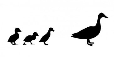 silhouette of a duck and ducklings drawing