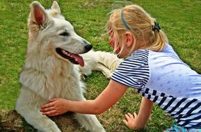 little girl with a white dog