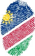 fingerprint in colors of namibia flag