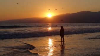 silhouette of a man on the beach on a background of orange sunset