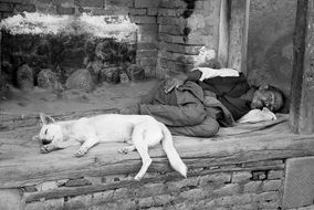 man and dog in nepal