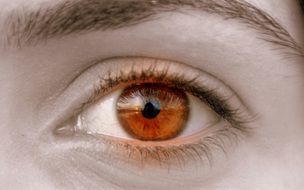 brown eye girl