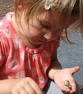 Child is holding the snail in the hand
