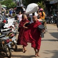 monks buddhists outdoors