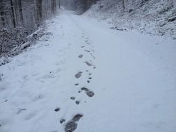 footprints in the snow after a walk