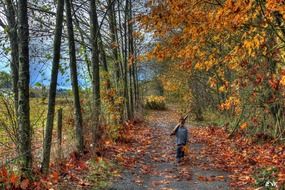 boy in the rain in the Park