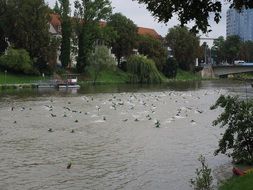 triathlon in Ulm