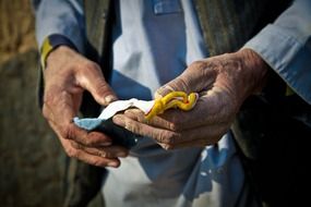 weathered hands of an old man