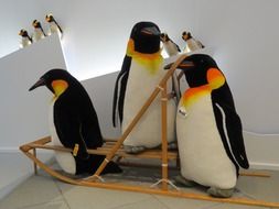 penguin family stands on a sled