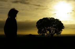 Picture of the girl is on a field at the sunset