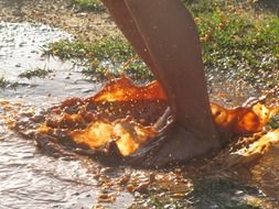 feet in jump in dirty water