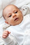 portrait of a newborn in white